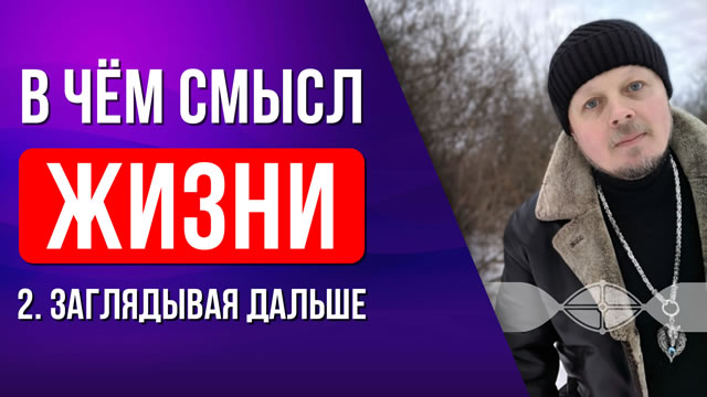 В чём смысл жизни? 2: Заглядывая дальше.